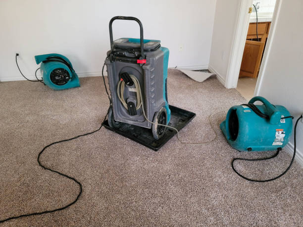 Best Local water damage restoration  in Tracy, MN