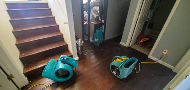Best Flooded house restoration  in Tracy, MN