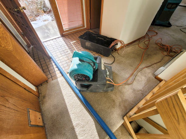 Best Carpet water damage restoration  in Tracy, MN