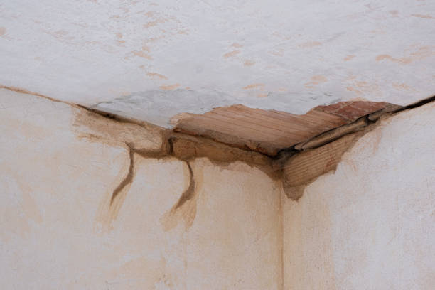 Best Ceiling water damage repair  in Tracy, MN