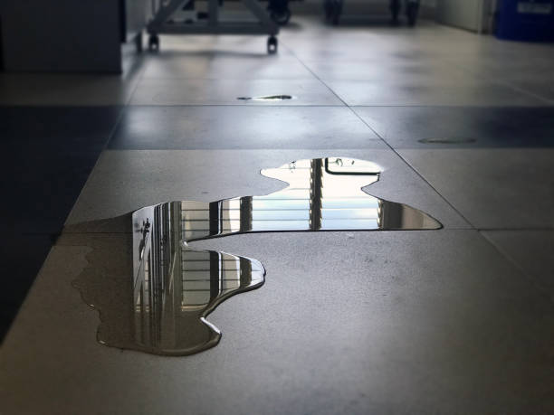 Reliable Tracy, MN Water damage restoration Solutions
