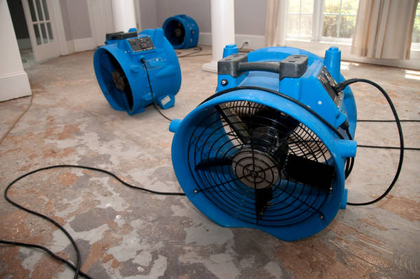 Best Water damage contractors near me  in Tracy, MN